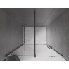 Mexen Velar drzwi prysznicowe rozsuwane 100 cm, transparent, gun gray szczotkowany - 871-100-000-01-66