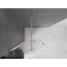 Mexen Velar ścianka prysznicowa rozsuwana Walk-in 85 x 200 cm, transparent 8 mm, złota szczotkowana - 871-085-000-03-55