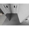 Mexen Kioto ścianka prysznicowa Walk-in 100 x 200 cm, lustro 8 mm, gun gray szczotkowany - 800-100-101-66-50