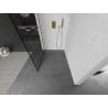 Mexen Kioto ścianka prysznicowa Walk-in 120 x 200 cm, czarna kratka 8 mm, złota szczotkowana - 800-120-101-55-77