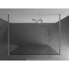 Mexen Kioto ścianka prysznicowa wolnostojąca 115 x 200 cm, transparent 8 mm, nikiel szczotkowany - 800-115-002-97-00