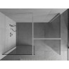 Mexen Kioto ścianka prysznicowa Walk-in 125 x 120 cm, transparent, chrom - 800-125-202-01-00-120