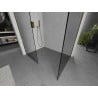 Mexen Kioto ścianka prysznicowa Walk-in 120 x 80 cm, transparent, złota - 800-120-202-50-00-080