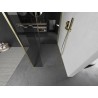 Mexen Kioto ścianka prysznicowa Walk-in 100 x 95 x 40 cm, transparent, złota szczotkowana - 800-100-095-221-55-00-040