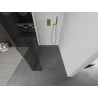 Mexen Kioto ścianka prysznicowa Walk-in 110 x 30 cm, transparent, złota - 800-110-212-50-00-030