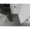 Mexen Kioto ścianka prysznicowa Walk-in 120 x 30 cm, transparent, złota - 800-120-212-50-00-030