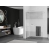 Mexen Kioto+ ścianka prysznicowa z półką Walk-in 100 x 200 cm, transparent/szron, biała - 800-100-121-20-35