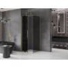Mexen Velar kabina prysznicowa rozsuwana 100 x 100 cm, grafit, złota szczotkowana - 871-100-100-41-55