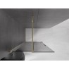 Mexen Velar ścianka prysznicowa rozsuwana Walk-in 100 x 200 cm, grafit 8 mm, złota - 871-100-000-43-50