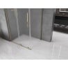 Mexen Velar L kabina prysznicowa rozsuwana 120 x 100 cm, szron, złota - 871-120-100-33-50