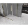 Mexen Velar L kabina prysznicowa rozsuwana 100 x 80 cm, szron, złota szczotkowana - 871-100-080-33-55