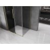 Mexen Velar L kabina prysznicowa rozsuwana 100 x 90 cm, grafit, złota szczotkowana - 871-100-090-43-55
