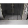 Mexen Velar Duo drzwi prysznicowe rozsuwane 170 cm, grafit, złote - 871-170-000-42-50