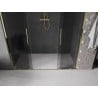 Mexen Velar Duo drzwi prysznicowe rozsuwane 170 cm, grafit, złote - 871-170-000-42-50