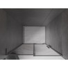 Mexen Velar L drzwi prysznicowe rozsuwane 90 cm, grafit, gun gray szczotkowany - 871-090-003-41-66