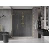 Mexen Velar L Duo drzwi prysznicowe rozsuwane 170 cm, transparent, złote - 871-170-003-02-50