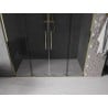 Mexen Velar L Duo drzwi prysznicowe rozsuwane 170 cm, grafit, złote - 871-170-003-42-50