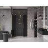 Mexen Velar Duo drzwi prysznicowe rozsuwane 160 cm, grafit, złote - 871-160-000-42-50