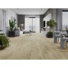 Mexen Calera próbka paneli winylowych SPC 6,5 mm, podkład IXPE 1,5 mm, 4 V-Fuga, Dąb - F1020-S