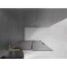 Mexen Velar L ścianka prysznicowa rozsuwana Walk-in 100 x 200 cm, grafit 8 mm, złota szczotkowana - 871-100-003-43-55
