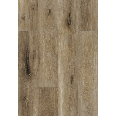 Mexen Clermont  próbka paneli winylowych SPC 6,5 mm, podkład IXPE 1,5 mm, 4 V-Fuga, Dąb - F1053-S