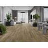 Mexen Clermont  próbka paneli winylowych 1240 x 182 mm SPC 6,5 mm, podkład IXPE 1,5 mm, 4 V-Fuga, Dąb - F1053-S