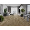 Mexen Clermont  próbka paneli winylowych SPC 6,5 mm, podkład IXPE 1,5 mm, 4 V-Fuga, Dąb - F1053-S