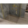 Mexen Omega kabina prysznicowa rozsuwana 130 x 100 cm, transparent, złota - 825-130-100-50-00