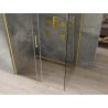Mexen Omega kabina prysznicowa rozsuwana 130 x 100 cm, transparent, złota - 825-130-100-50-00