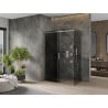 Mexen Omega kabina prysznicowa rozsuwana 150 x 80 cm, grafit, chrom - 825-150-080-01-40