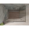 Mexen Omega kabina prysznicowa rozsuwana 160 x 100 cm, grafit, chrom - 825-160-100-01-40