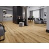 Mexen Beaver Creek panele winylowe 1227 x 187 mm LVT Dryback 2,5 mm, podkład PVC, 4 V-Fuga, Dąb - F1302-1227-187-255-4V1-01