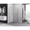 Mexen Exo-S Duo kabina prysznicowa kwadratowa rozsuwana 90 x 90 cm, transparent, chrom - 8111-090-090-01-00