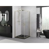 Mexen Exo-R Duo kabina prysznicowa kwadratowa uchylna 70 x 70 cm, transparent, złota - 8110-070-070-50-00