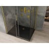 Mexen Omega kabina prysznicowa rozsuwana 100 x 90 cm, transparent, złota + brodzik Flat, czarny - 825-100-090-50-00-4070G