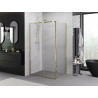 Mexen Exo-R kabina prysznicowa uchylna 100 x 75 cm, transparent, złota - 819-100-075-50-00