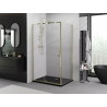 Mexen Exo-R kabina prysznicowa uchylna 105 x 75 cm, transparent, złota - 819-105-075-50-00