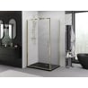 Mexen Exo-B kabina prysznicowa uchylna 100 x 75 cm, transparent, złota - 817-100-075-50-00