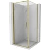 Mexen Exo kabina prysznicowa uchylna 100 x 100 cm, transparent, złota - 817-100-100-50-00