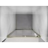 Mexen Exo drzwi prysznicowe rozsuwane 105 cm, transparent, złote - 8151-105-000-50-00