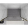 Mexen Exo-R drzwi prysznicowe uchylne 145 cm, transparent, złote - 819-145-000-50-00