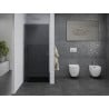 Mexen Pretoria drzwi prysznicowe uchylne 70 cm, grafit, chrom - 852-070-000-01-40