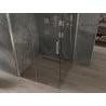 Mexen Omega kabina prysznicowa rozsuwana 100 x 100 cm, transparent, chrom - 825-100-100-01-00
