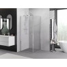 Mexen Exo-B kabina prysznicowa uchylna 95 x 95 cm, transparent, chrom - 817-095-095-01-00