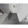 Mexen Kioto ścianka prysznicowa Walk-in 120 x 200 cm, transparent/szron 8 mm, złota - 800-120-101-50-35