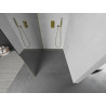 Mexen Kioto ścianka prysznicowa Walk-in 120 x 200 cm, lustro 8 mm, złota - 800-120-101-50-50