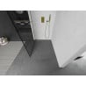 Mexen Kioto ścianka prysznicowa Walk-in 100 x 200 cm, czarna kratka 8 mm, złota - 800-100-101-50-77
