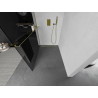 Mexen Kioto+ ścianka prysznicowa z półką Walk-in 80 x 200 cm, grafit, złota - 800-080-121-50-40