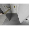 Mexen Kioto+ ścianka prysznicowa z półką Walk-in 110 x 200 cm, lustro, złota - 800-110-121-50-50