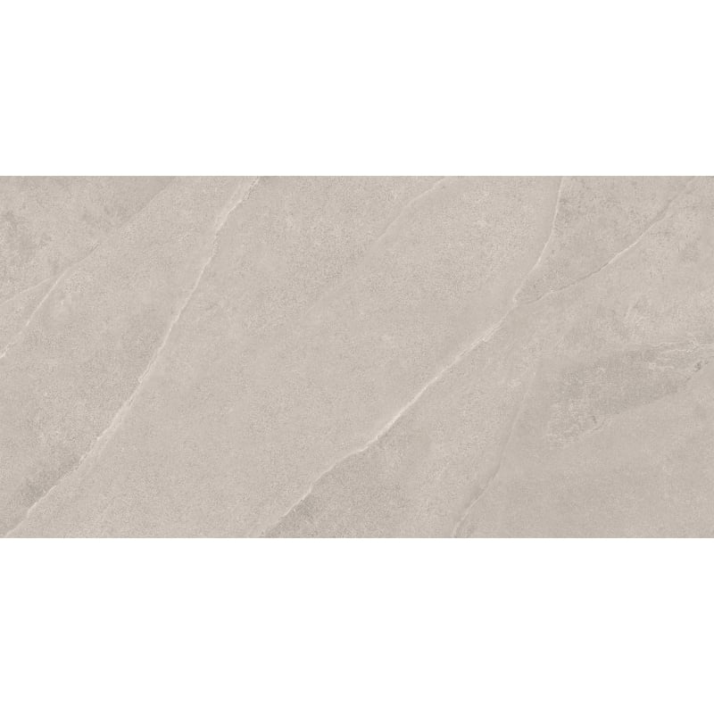 Mexen Aryan Silver gres szkliwiony rekt. G1, płytka podłogowo-ścienna 120 x 60 cm, mat - TL310-120-060-05